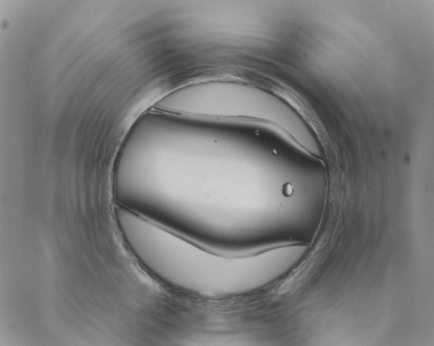 X0000089360858200707061047