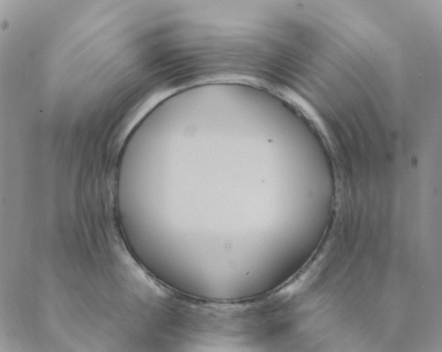 X0000089360860200707061048