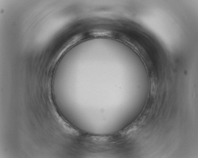 X0000089360861200707061048