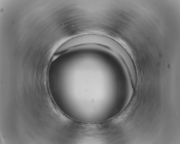 X0000089360862200707061048