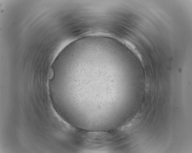 X0000089360863200707061048