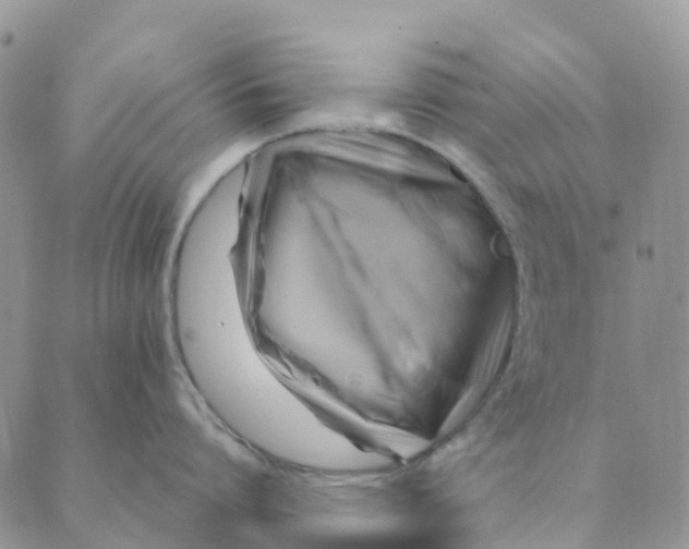 X0000089360864200707061048