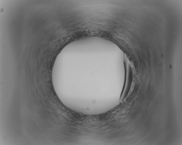 X0000089360865200707061047