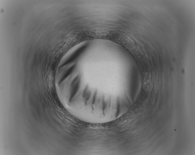 X0000089360866200707061047