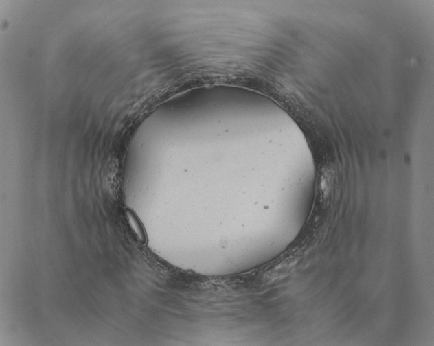 X0000089360867200707061047