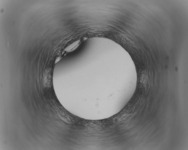 X0000089360868200707061047