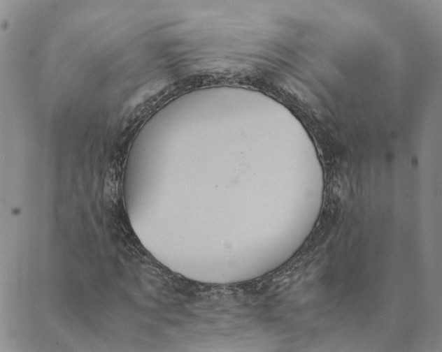 X0000089360869200707061047