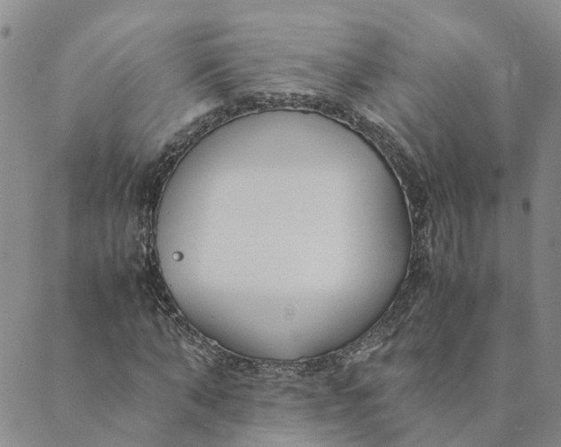 X0000089360870200707061047