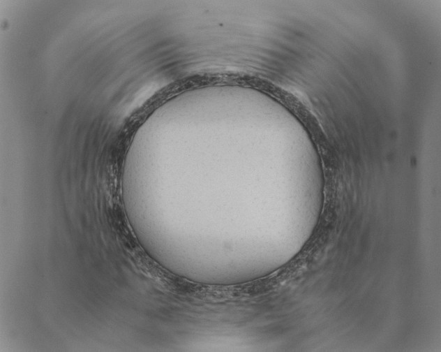 X0000089360871200707061047