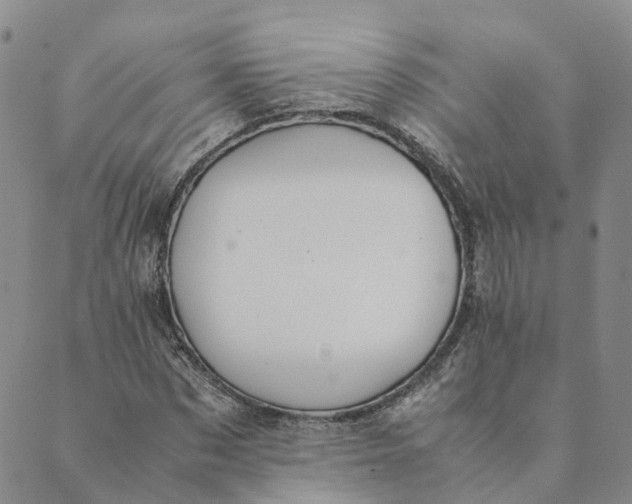 X0000089360873200707061047