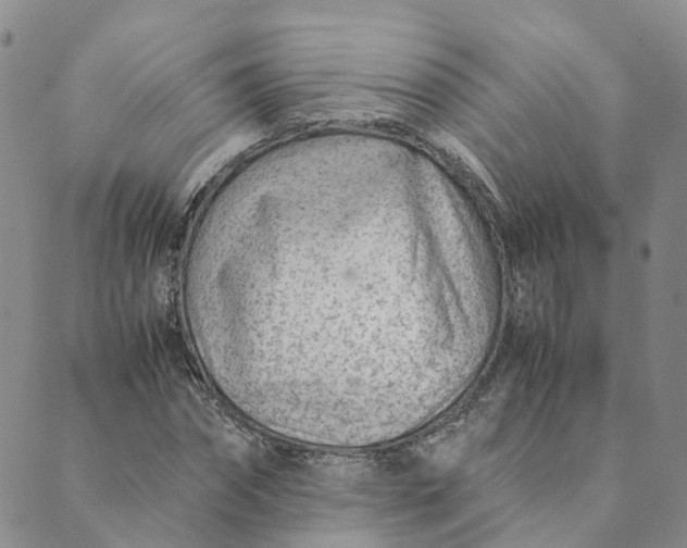 X0000089360874200707061047