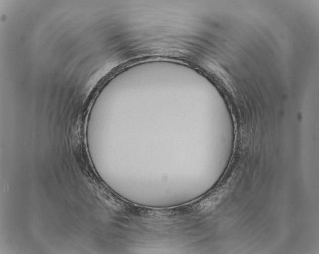 X0000089360875200707061047