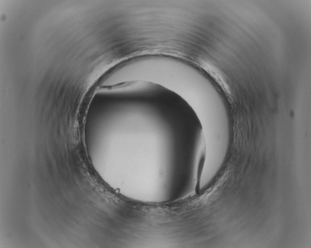 X0000089360876200707061047