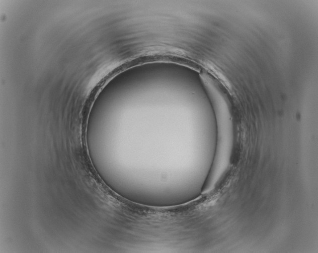 X0000089360877200707061047