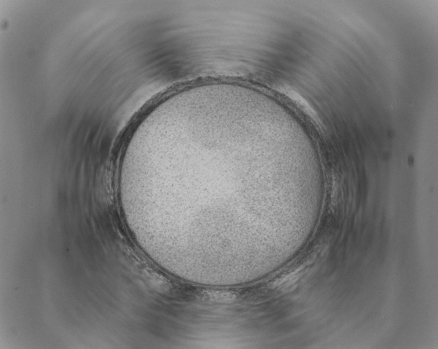 X0000089360878200707061047