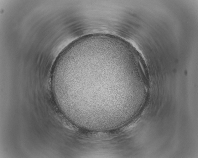 X0000089360879200707061047