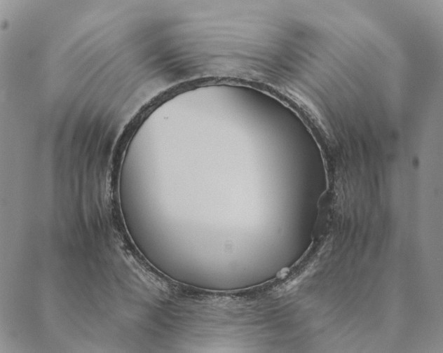 X0000089360880200707061047