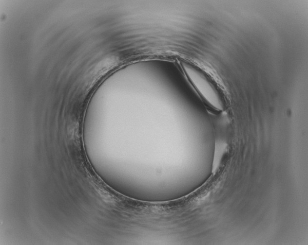 X0000089360881200707061047