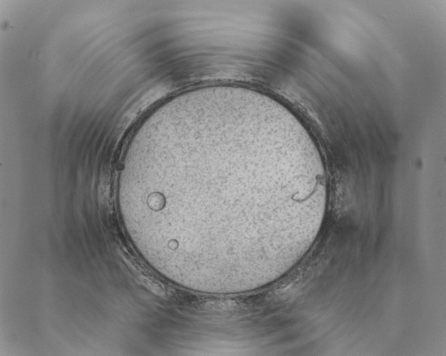 X0000089360882200707061047