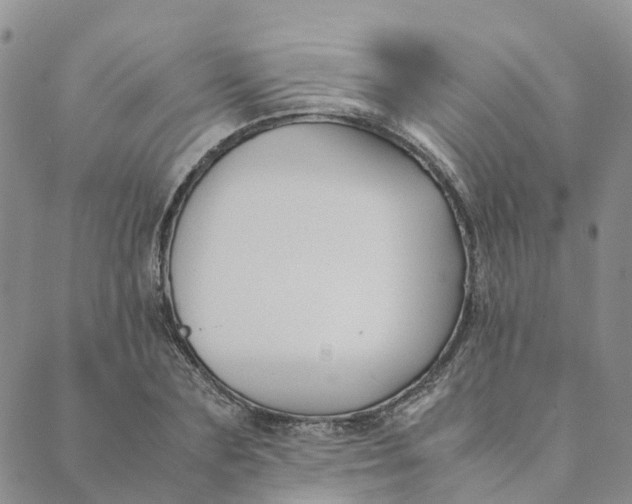 X0000089360883200707061047