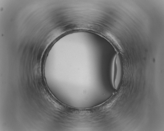 X0000089360884200707061047