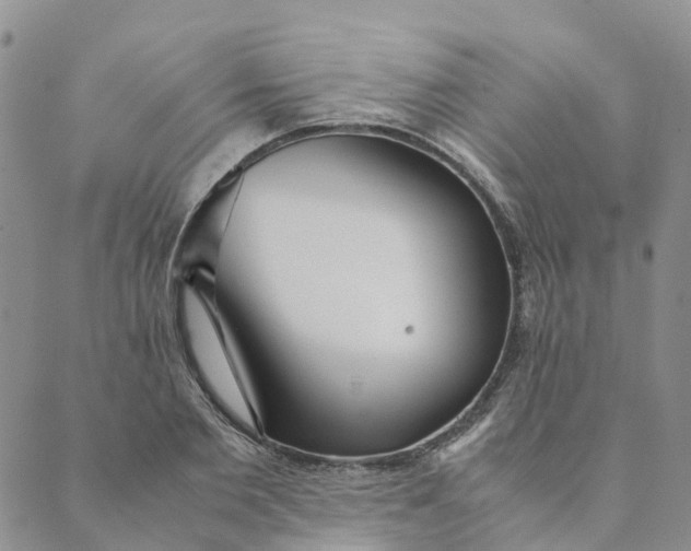 X0000089360885200707061046