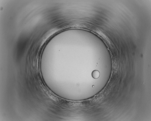 X0000089360886200707061046