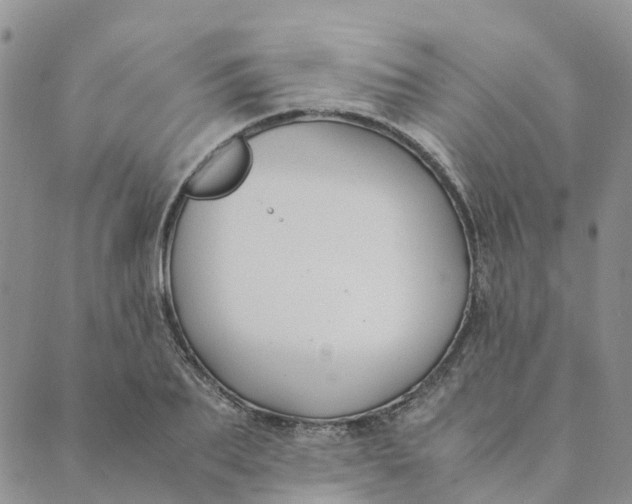 X0000089360887200707061046