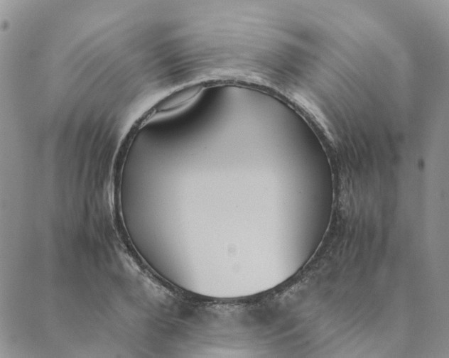 X0000089360888200707061046