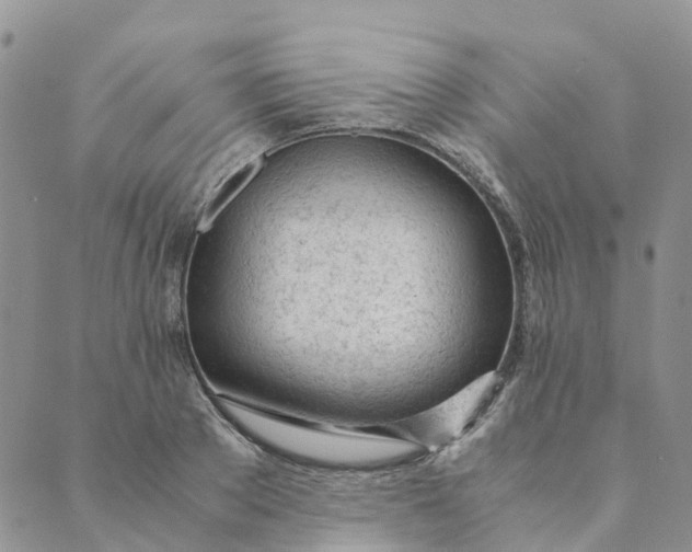 X0000089360889200707061046