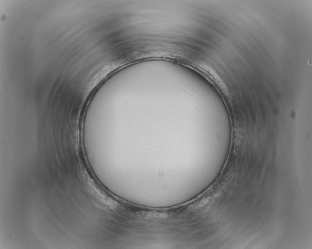 X0000089360890200707061046