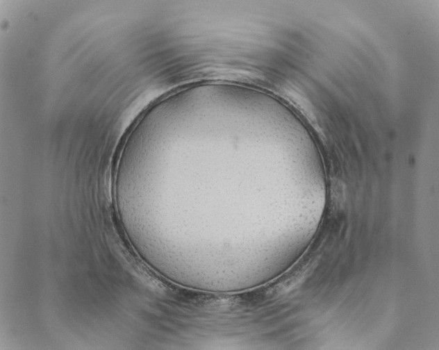 X0000089360891200707061046