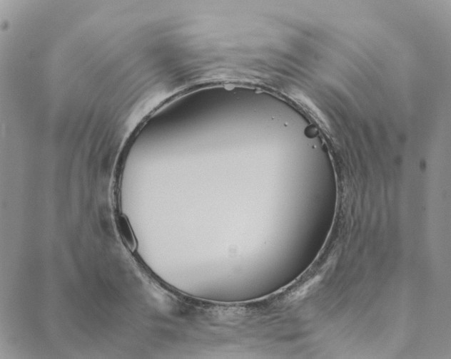 X0000089360893200707061046