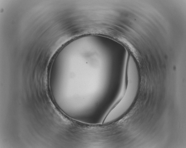 X0000089360894200707061046