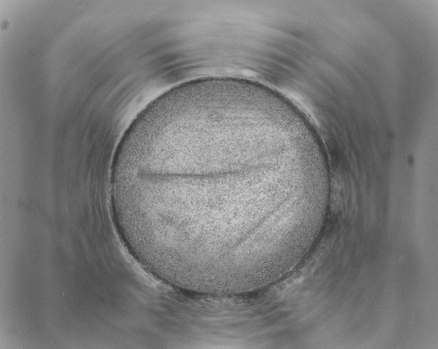 X0000089360895200707061046