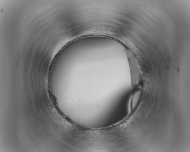 X0000089360896200707061046