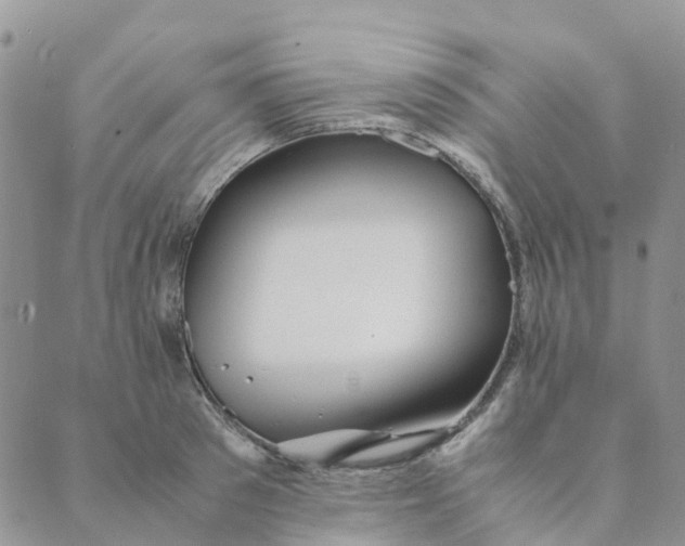 X0000089360897200707061046