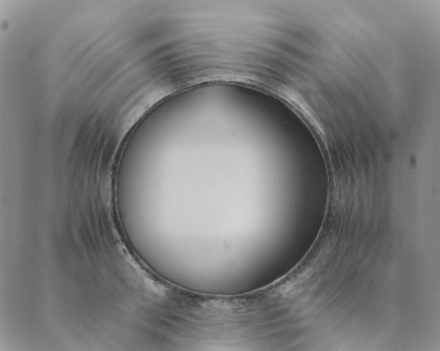 X0000089360898200707061046