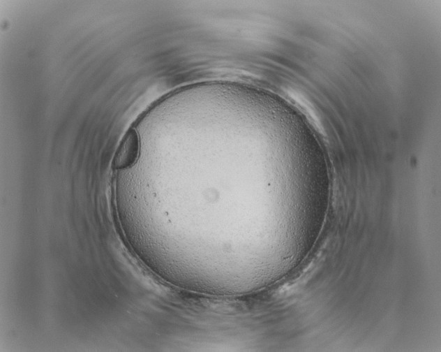 X0000089360899200707061046