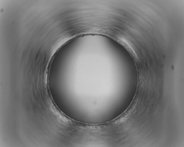 X0000089360900200707061046