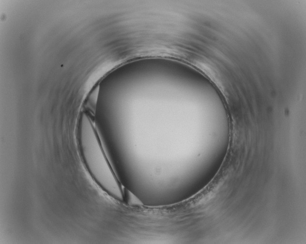 X0000089360901200707061046