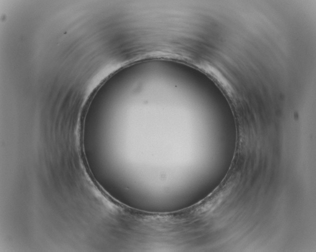 X0000089360902200707061046