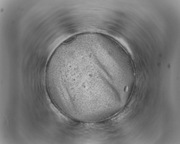 X0000089360903200707061046