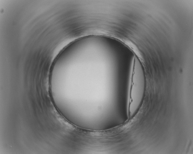 X0000089360904200707061046