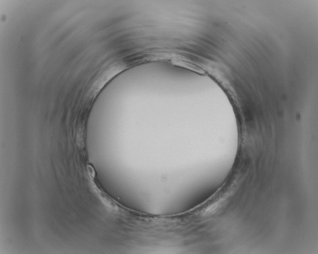 X0000089360905200707061046