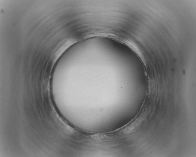 X0000089360906200707061046