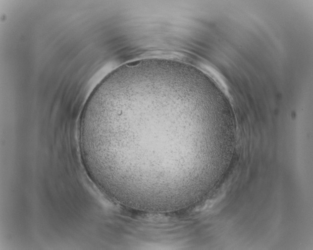 X0000089360907200707061046