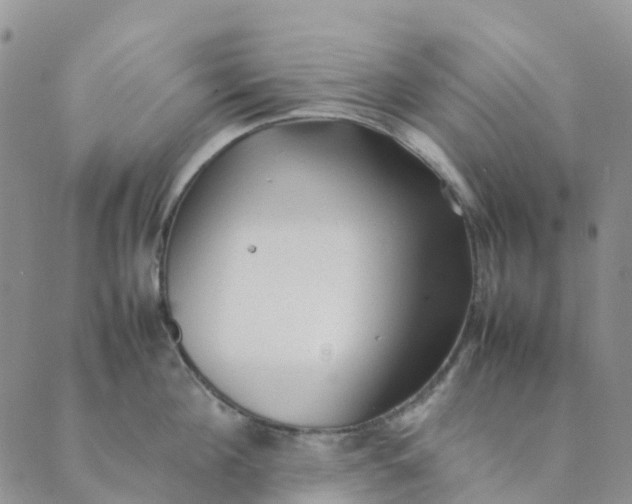 X0000089360908200707061046