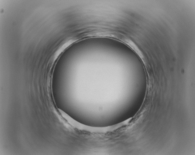 X0000089360909200707061046