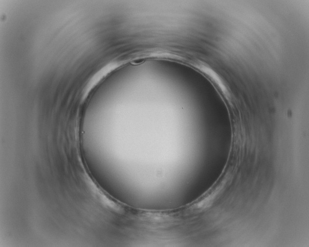 X0000089360910200707061046